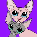 Winkles & Flam 😺😸