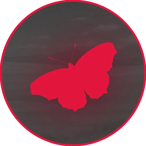 JINKAKU — мониторинг Discord сервера, статистика и рейтинг
