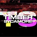 TIMBER SYCAMORE