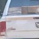 Thatwhiteram