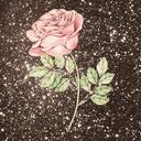    Bixby Blossoms    Discord Server Icon