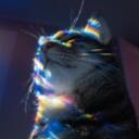 The Surface Discord Server Icon