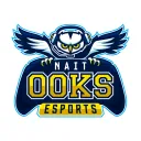 Ooks Esports