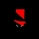 Shadow Leadership