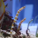 サニーミルクのお部屋