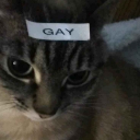 LGBT+ community [geo] Discord server icon