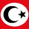 Nasyonal Totaliter Türkiye discord icon
