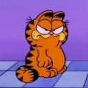 garfield ‼ Discord Server Icon