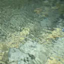 ハハハのハ