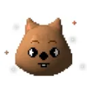 quokkee's cottage ⋆