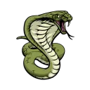 VIPER`s Team