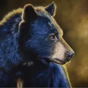 sleepybear700's server
