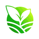 Green Earth Metaverse