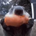 Blisscord