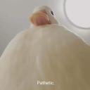 The Big Quack