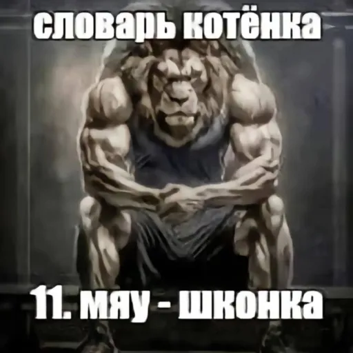 HSpace — мониторинг Discord сервера, статистика и рейтинг