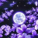 Moonlit Discord Server Icon