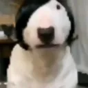 ВХУ