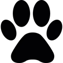 r/Hundeschule