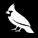 Cardinal Club Poker