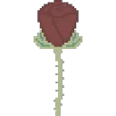 The Flower Garden
