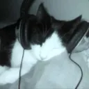 𓆩𓆪 Caves of asgarth𓆩𓆪 Discord Server Icon