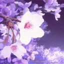 sensualist social club's icon