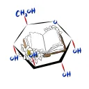 Glucose Translations
