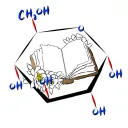 Glucose Translations