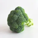 野菜のTRPG農園