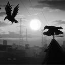 •Raven's• Discord Server Icon