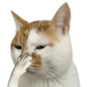 🌙 あ 'Night Land