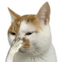  あ 'Night Land Discord Server Icon