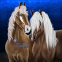 ꒰⭐𝕾𝖙𝖆𝖗 𝕺𝖈𝖊𝖆𝖓 𝕯𝖗𝔢𝖘𝖘𝖆𝖌𝖊