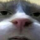 mayonnaise's server Discord Server Icon
