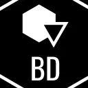 BD's Singularity