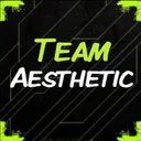 Team Aesthetic