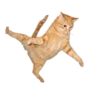 My Roblox Discord Group!'s icon