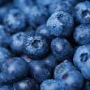 Blueberry | FazeRP