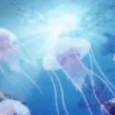 𝑩𝒆𝒓𝒓𝒚 𝑩𝒓𝒆𝒆𝒛𝒆 𝑩𝒂𝒚 Discord Server Icon