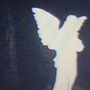 » ᴠᴏx ɴɪʜɪʟɪ. Discord Server Icon
