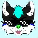 Ryzer The folf's server