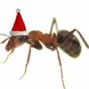 Formigueiro 🐜🎄🎄#200 discord icon