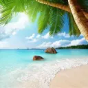 🌴PLEASURE ISLAND🌴