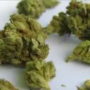 The Nug Haus