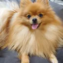 yuukiのサーバー