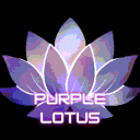 Purple Lotus