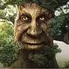 mythicalewisetree's server