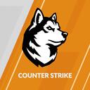 NU Counter Strike Discord Server Icon