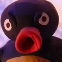 PINGUS
